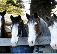 Victor Harbor Horse Drawn Tramway - Accommodation Guide