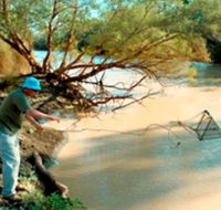 Charleville - Ward River Fishing Spot - Accommodation Guide