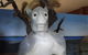 Wentworth Pioneer Museum - thumb 4