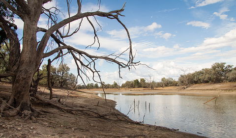 Toorale National Park - Accommodation Asia 0