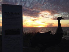 Meningie's Pelican Path - Yunti Ngopun Ngami - Accommodation Asia 2