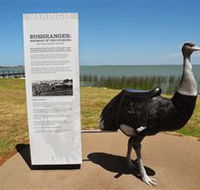 Birdman of the Coorong