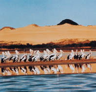 Coorong National Park