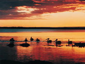 Coorong National Park - Accommodation Asia 1