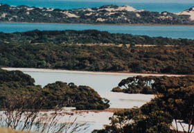 Coorong National Park - Accommodation Asia 2
