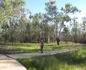 Ben Scott Memorial Bird Trail - Accommodation Guide 0