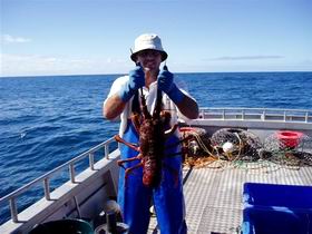 Lacepede Seafood - Accommodation Guide 2