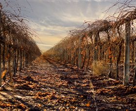 Andrew Peace Wines - Accommodation Guide 2