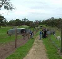 Avenue Emus - Accommodation Asia