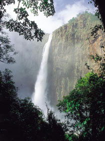 Wallaman Falls, Girringun National Park - Accommodation Guide 1