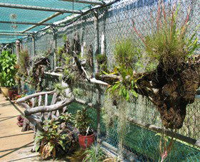 George Brown Darwin Botanic Gardens - Accommodation China 5