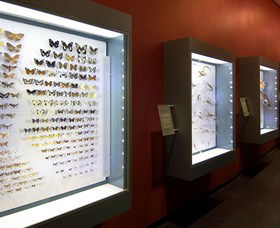 Museum And Art Gallery Of The Northern Territory - Accommodation China 3