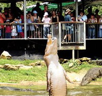 Crocodylus Park - Accommodation China