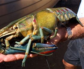 Fairbairn Dam, Lake Maraboon - Accommodation Asia 3