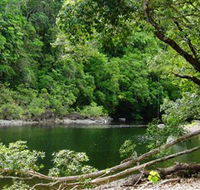 Broadwater Abergowrie State Forest - Accommodation Guide