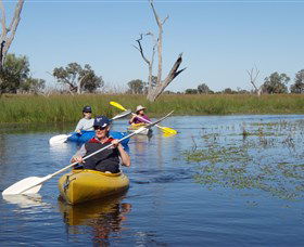 Westella NSW Accommodation Asia