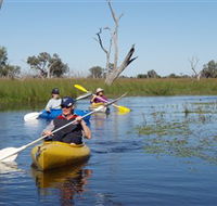 Marsh Meanders - Accommodation Asia