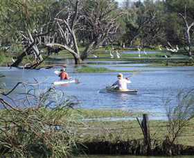 Marsh Meanders - Accommodation Asia 2