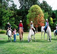 Limestone Coast Horseriding - Accommodation Guide