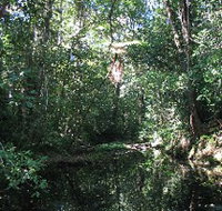 Misty Mountains Wilderness Walking Tracks - Accommodation China