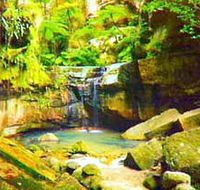 Carnarvon Gorge Carnarvon National Park - Accommodation Asia