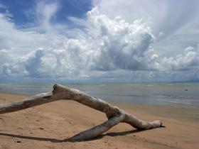 Toolakea QLD Accommodation Asia