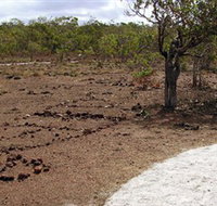 Wurrwurrwuy Garanhan Macassan Beach Interpretive Walk - Accommodation Guide