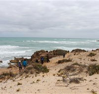 The Seaview Walking Trail - Accommodation Guide