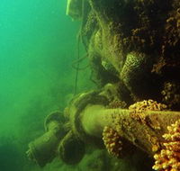 Wreck Diving at Magnetic Island - Accommodation Guide