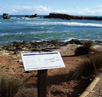 Cape Buffon Walking Trail - Accommodation Guide
