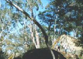 Dergholm VIC Accommodation Guide