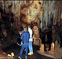 Tantanoola Caves Conservation Park - Accommodation Guide