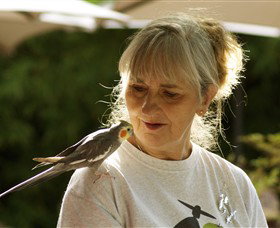 Simply Tomatoes - Accommodation Asia 0