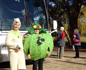 Simply Tomatoes - Accommodation Asia 6