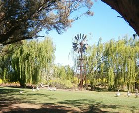 Simply Tomatoes - Accommodation Asia 7