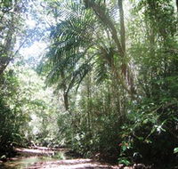 Mount Lewis National Park - Accommodation Asia