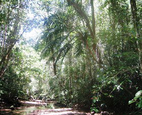 Mount Lewis National Park - Accommodation Asia 0