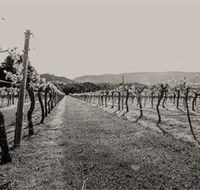 Halls Gap Estate - Accommodation Asia