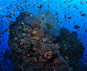 SS Yongala Dive Site - Accommodation Guide 1