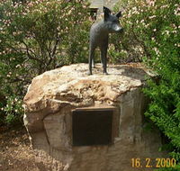 Dingo Statue - Accommodation Asia