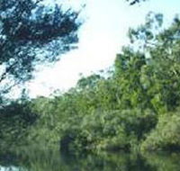 Crawford River Regional Park - Accommodation Asia