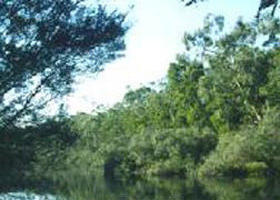 Crawford River Regional Park - Accommodation Asia 0