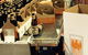 Barellan Beer - Community Owned, Locally Grown Beer - thumb 2