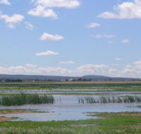 Fivebough Wetlands - Accommodation Guide