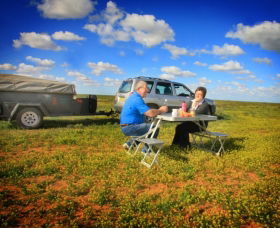 Long Paddock - Cobb Highway Touring Route - Accommodation Guide 0