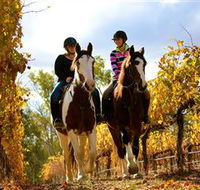Billabong Ranch - Accommodation Guide