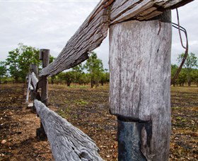 Oyala Thumotang National Park (CYPAL) - Accommodation Asia 1