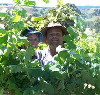 Wimmera Hills Winery - Accommodation Asia