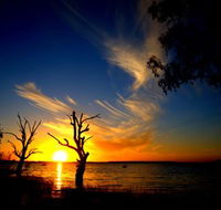 Lake Cowal - Accommodation Asia