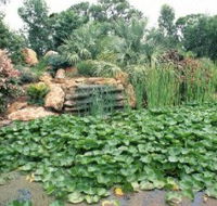 Mackenzie Park - Accommodation Asia
